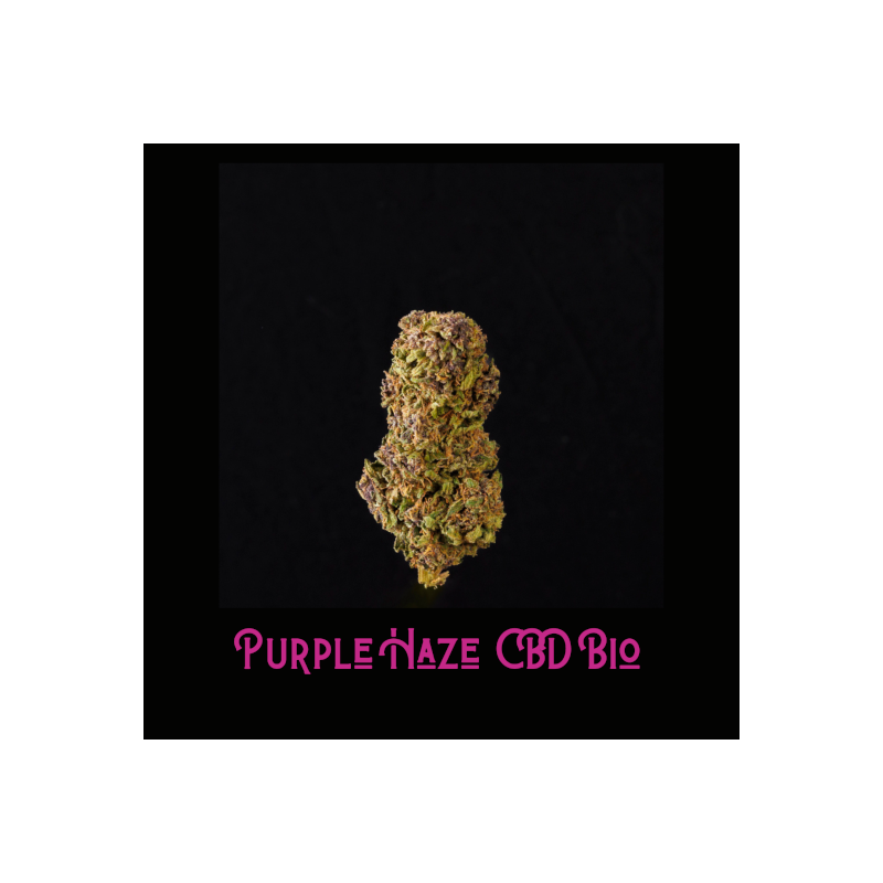Purple-Kush